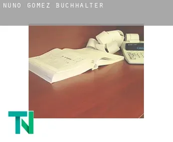 Nuño Gómez  Buchhalter