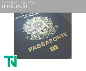 Autauga County  Besteuerung