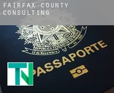 Fairfax County  Consulting