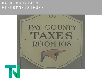 Back Mountain  Einkommensteuer