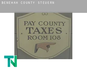 Benewah County  Steuern