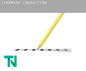 Parkers-Iron Springs  Consulting