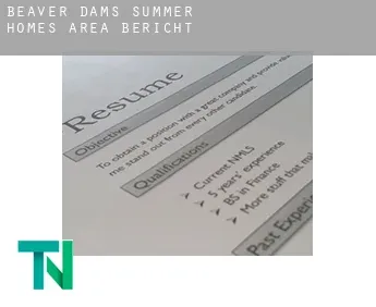 Beaver Dams Summer Homes Area  Bericht