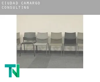 Ciudad Camargo  Consulting
