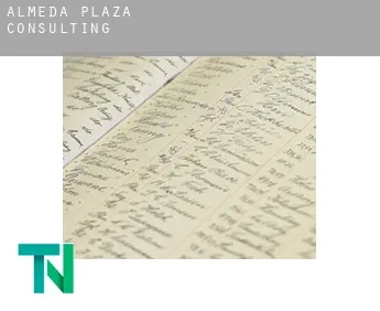 Almeda Plaza  Consulting