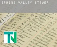 Spring Valley  Steuern
