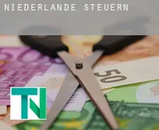 Niederlande  Steuern