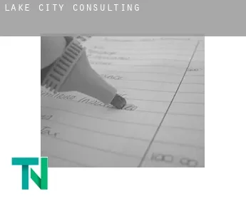 Lake City  Consulting