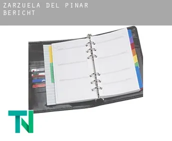 Zarzuela del Pinar  Bericht
