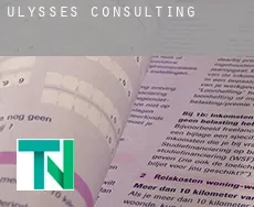 Ulysses  Consulting
