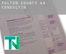 Fulton County  Consulting