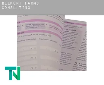 Belmont Farms  Consulting