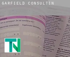 Garfield  Consulting