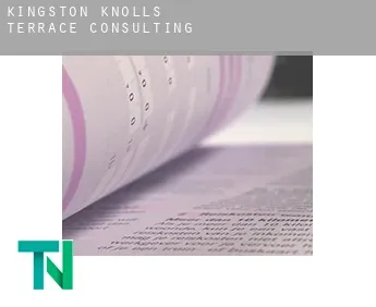 Kingston Knolls Terrace  Consulting