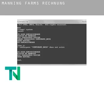 Manning Farms  Rechnung