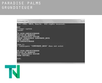 Paradise Palms  Grundsteuer