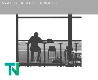 Avalon Beach  Konkurs
