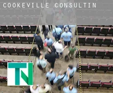 Cookeville  Consulting