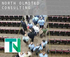 North Olmsted  Consulting