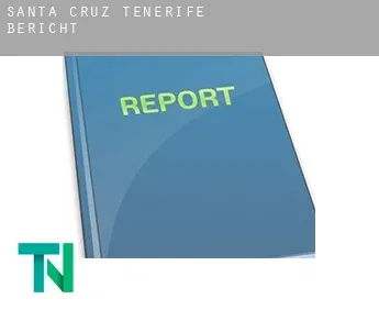 Santa Cruz de Tenerife  Bericht