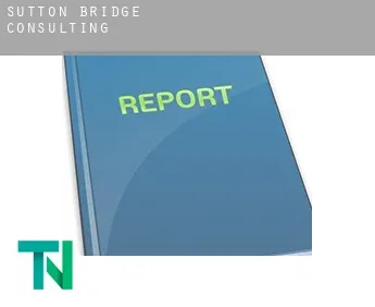 Sutton Bridge  Consulting