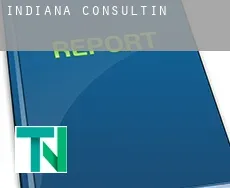 Indiana  Consulting