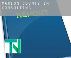 Marion County  Consulting