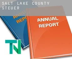 Salt Lake County  Steuern