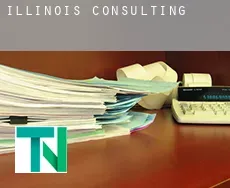 Illinois  Consulting
