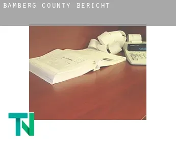 Bamberg County  Bericht