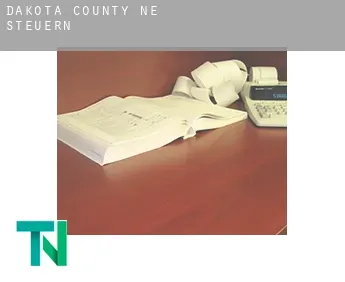Dakota County  Steuern